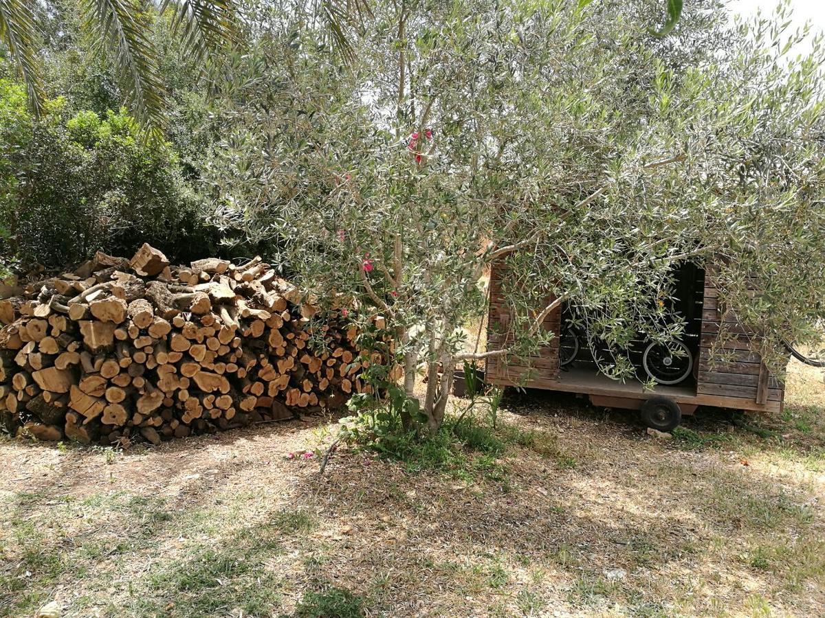 Hemdatya Stone Suites In The Galilee Ilaniya Exteriér fotografie